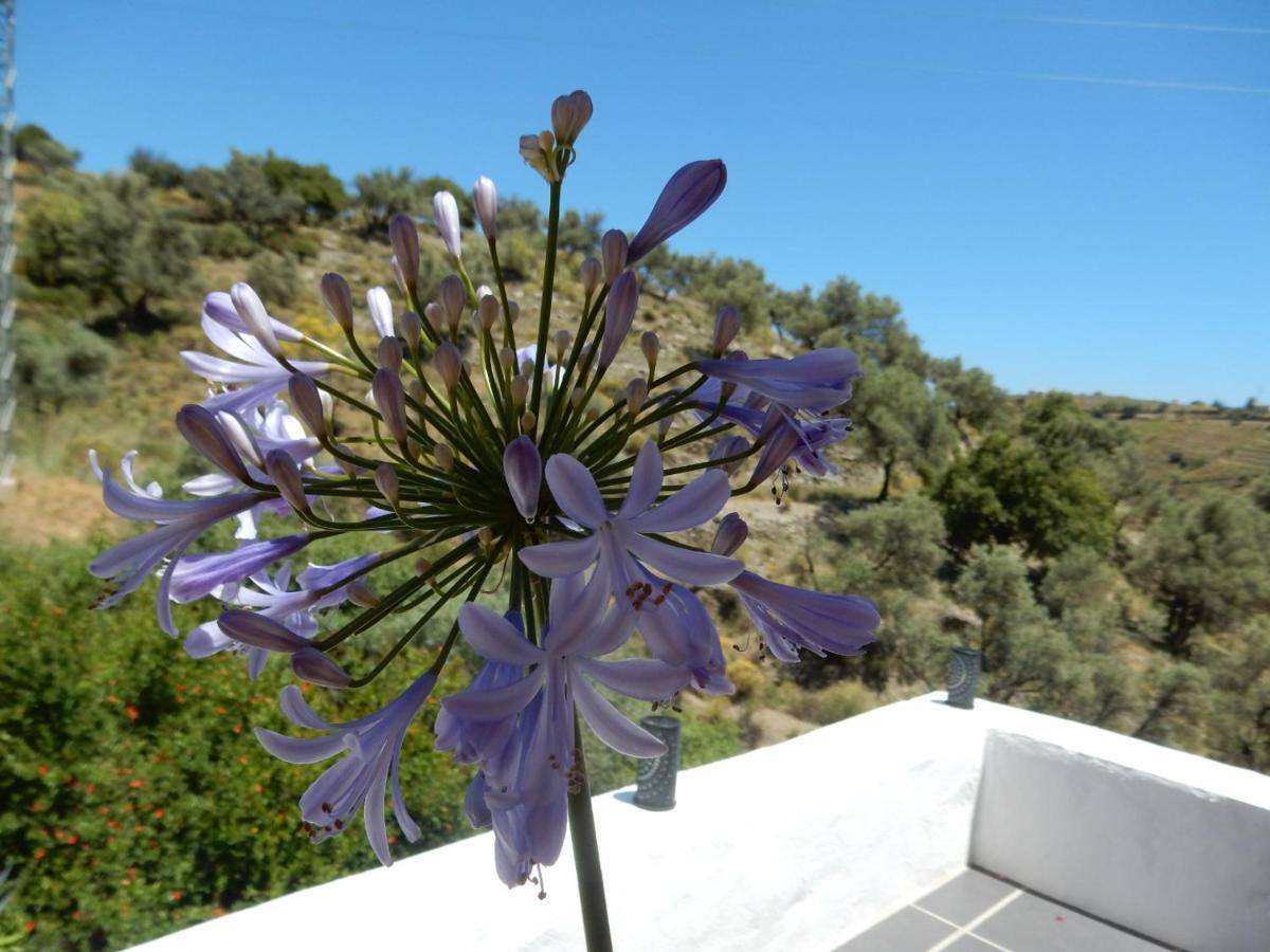 Bed And Breakfast Lagabella Sedella Exterior foto