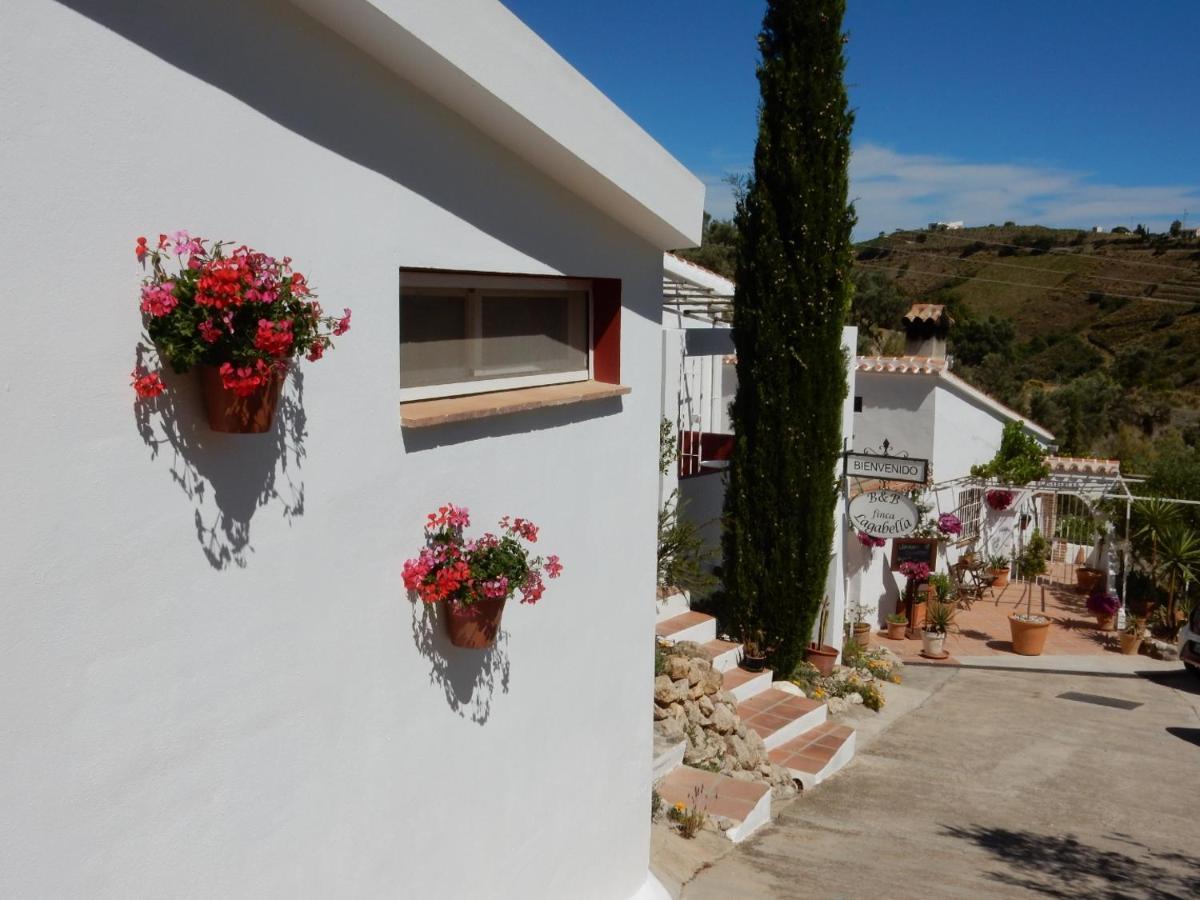 Bed And Breakfast Lagabella Sedella Exterior foto